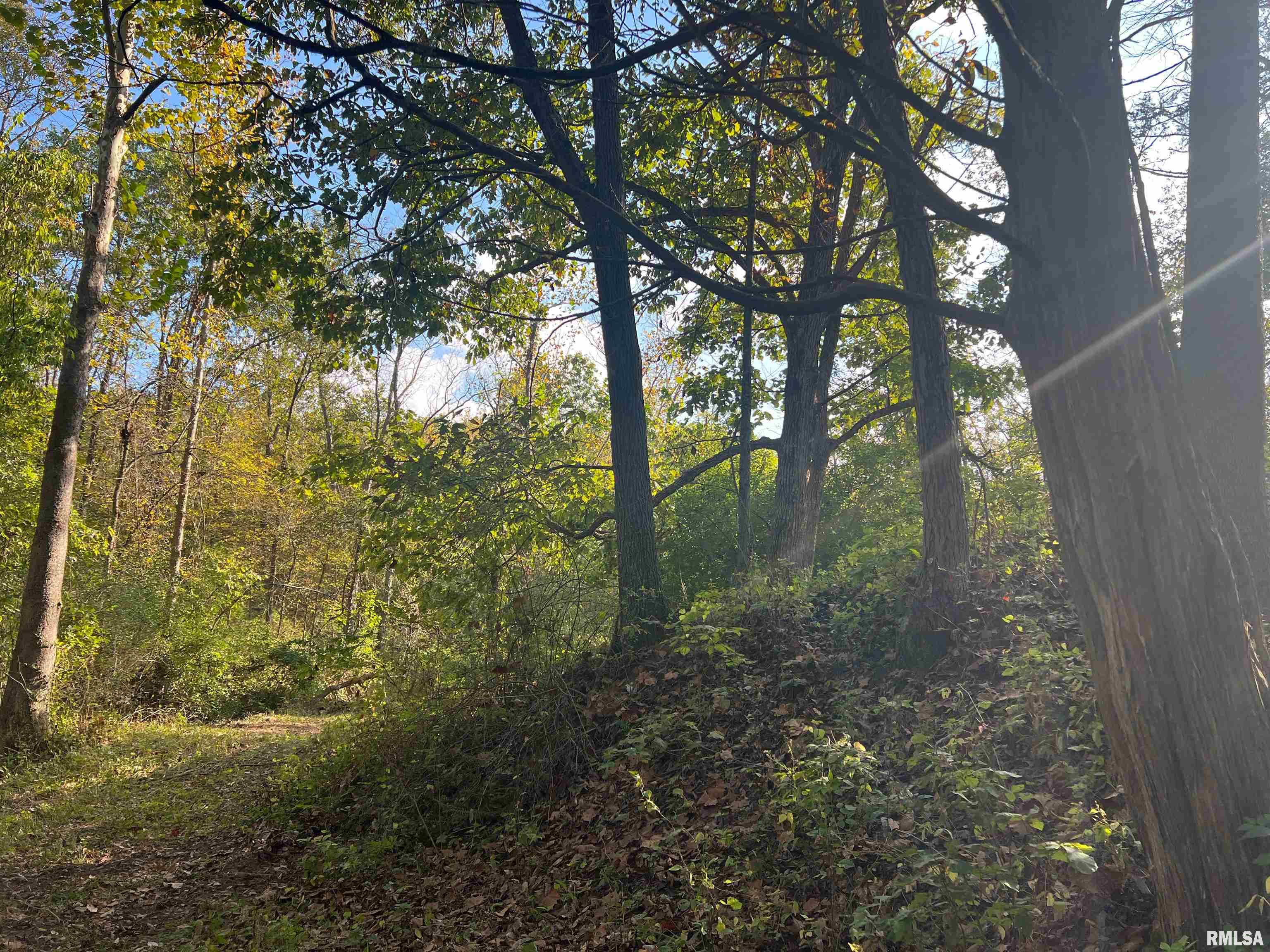 Rr125 Rr125 Street Versailles, IL 62378 - Photo 23 of 37