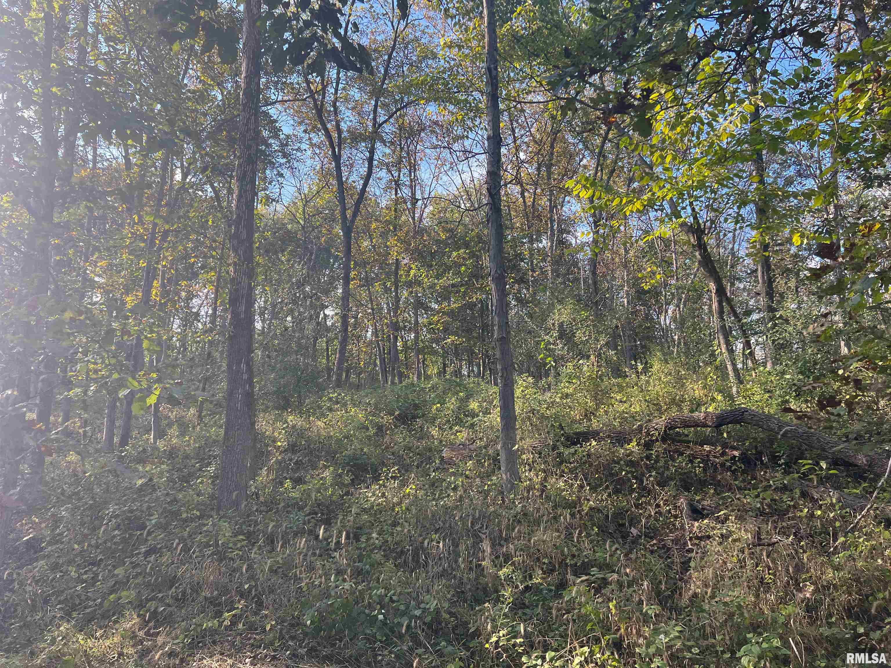 Rr125 Rr125 Street Versailles, IL 62378 - Photo 24 of 37