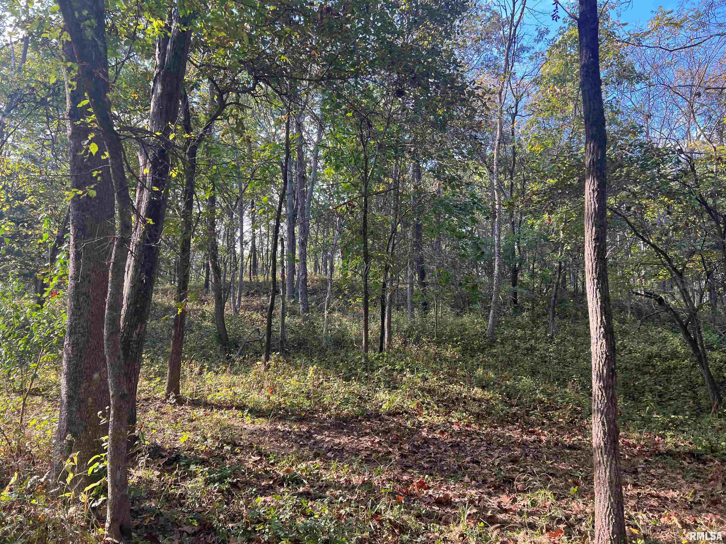 Rr125 Rr125 Street Versailles, IL 62378 - Photo 25 of 37