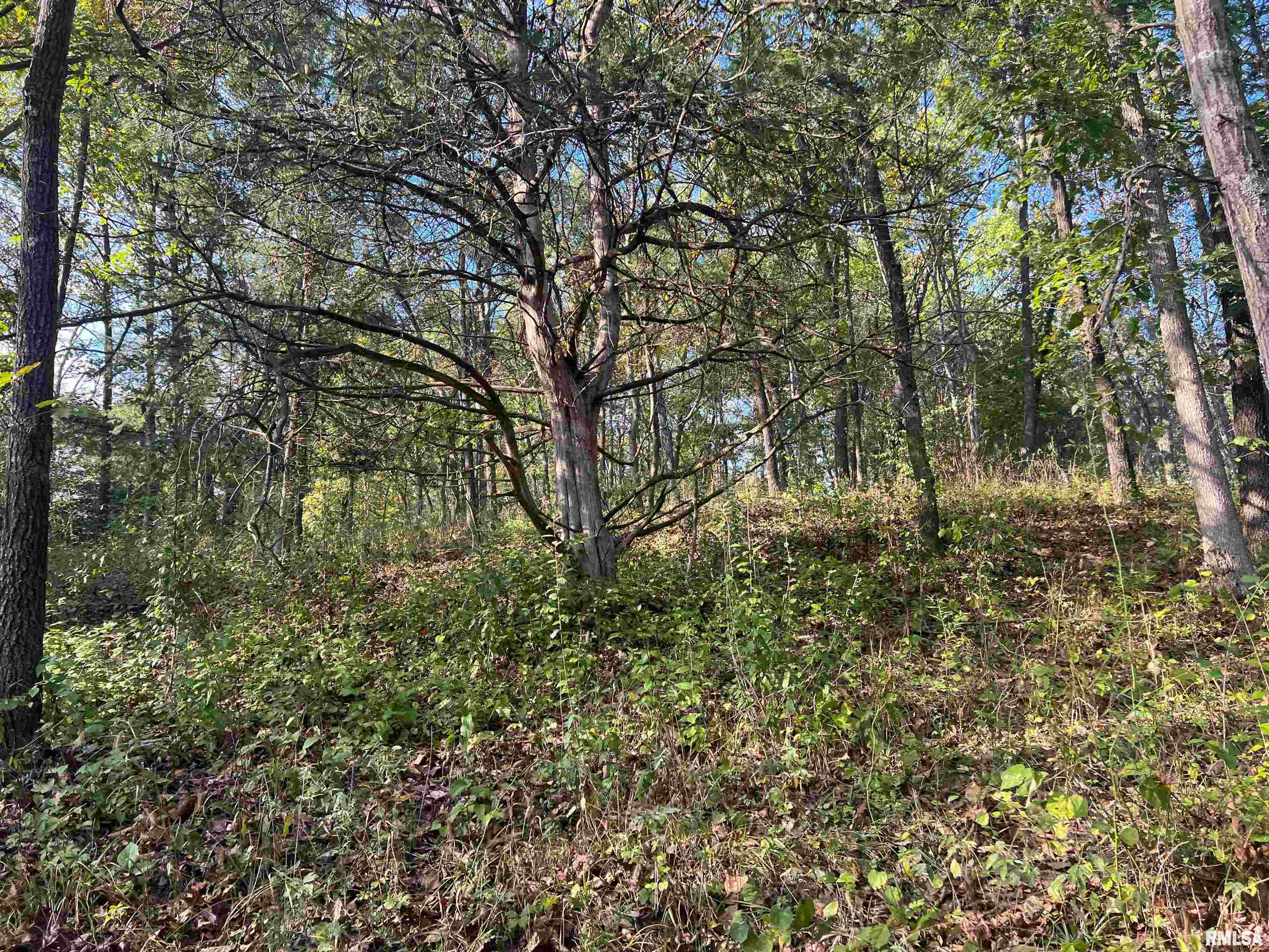 Rr125 Rr125 Street Versailles, IL 62378 - Photo 26 of 37