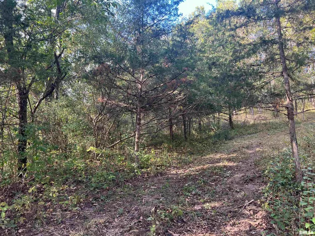 $225,000 | Rr125 Rr125 Street, Versailles, IL 62378