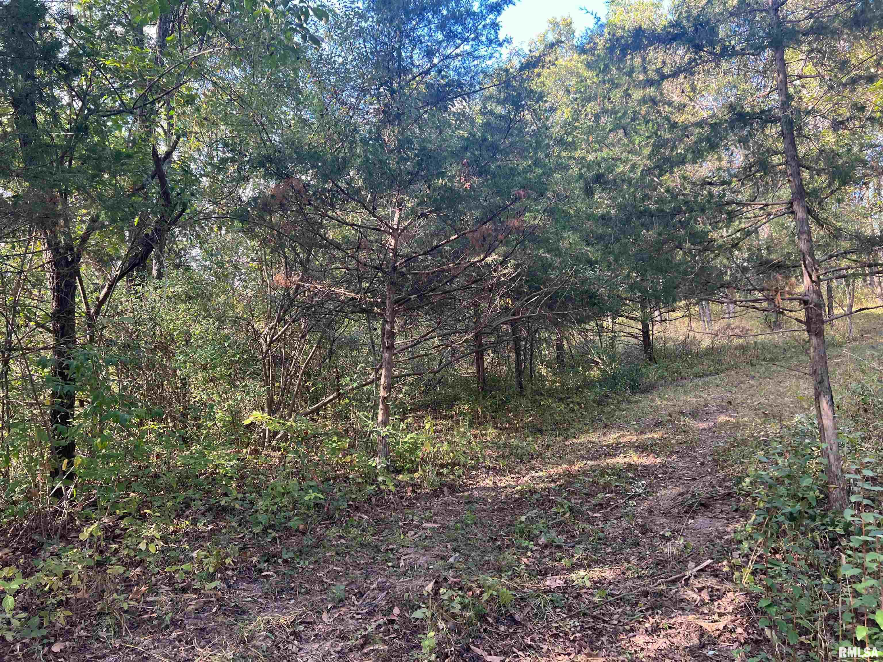 Rr125 Rr125 Street Versailles, IL 62378 - Photo 27 of 37