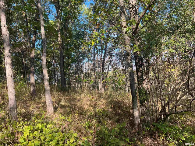 $225,000 | Rr125 Rr125 Street, Versailles, IL 62378