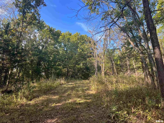 $225,000 | Rr125 Rr125 Street, Versailles, IL 62378