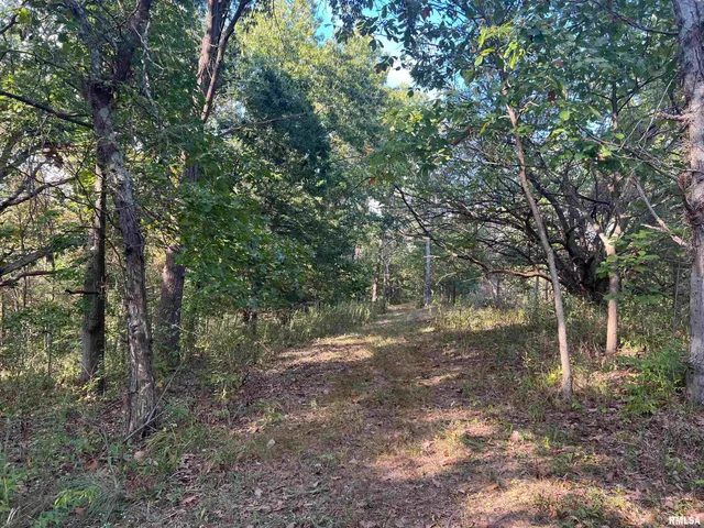 $225,000 | Rr125 Rr125 Street, Versailles, IL 62378