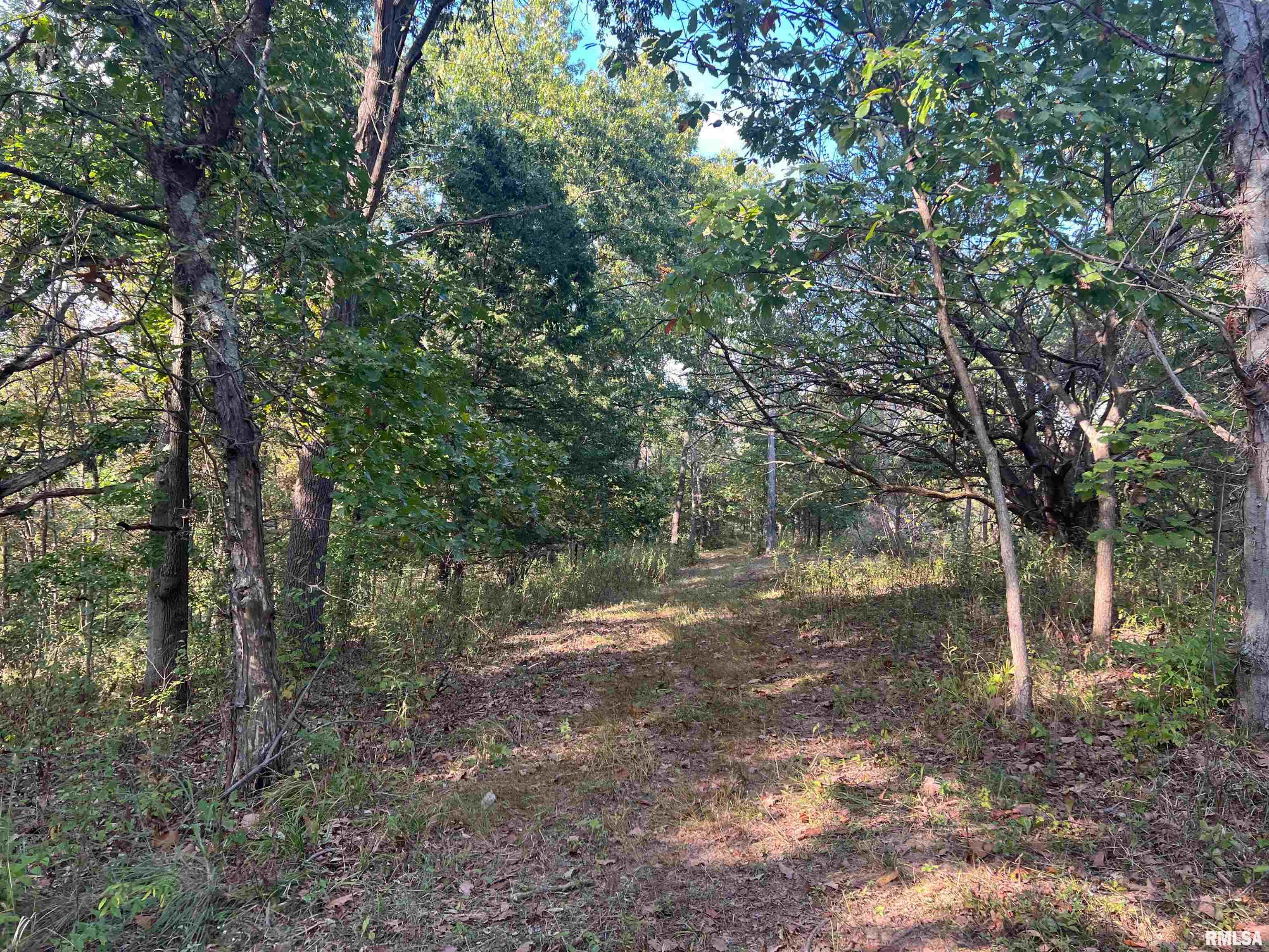 Rr125 Rr125 Street Versailles, IL 62378 - Photo 30 of 37