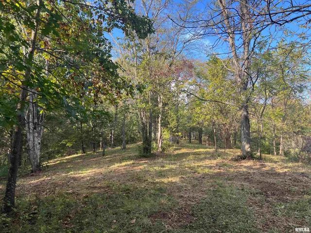 $225,000 | Rr125 Rr125 Street, Versailles, IL 62378