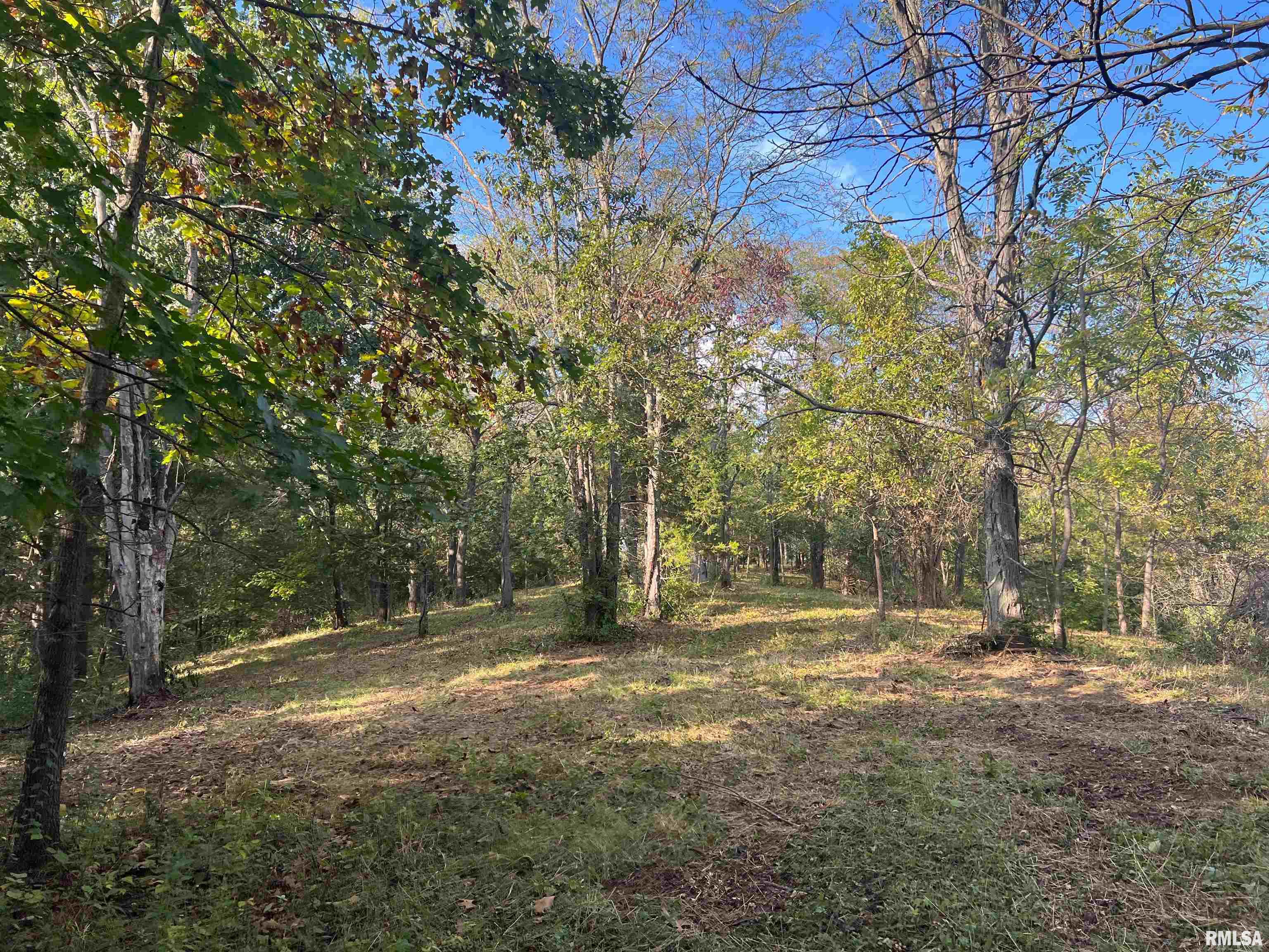 Rr125 Rr125 Street Versailles, IL 62378 - Photo 31 of 37