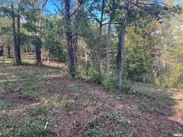 $225,000 | Rr125 Rr125 Street, Versailles, IL 62378