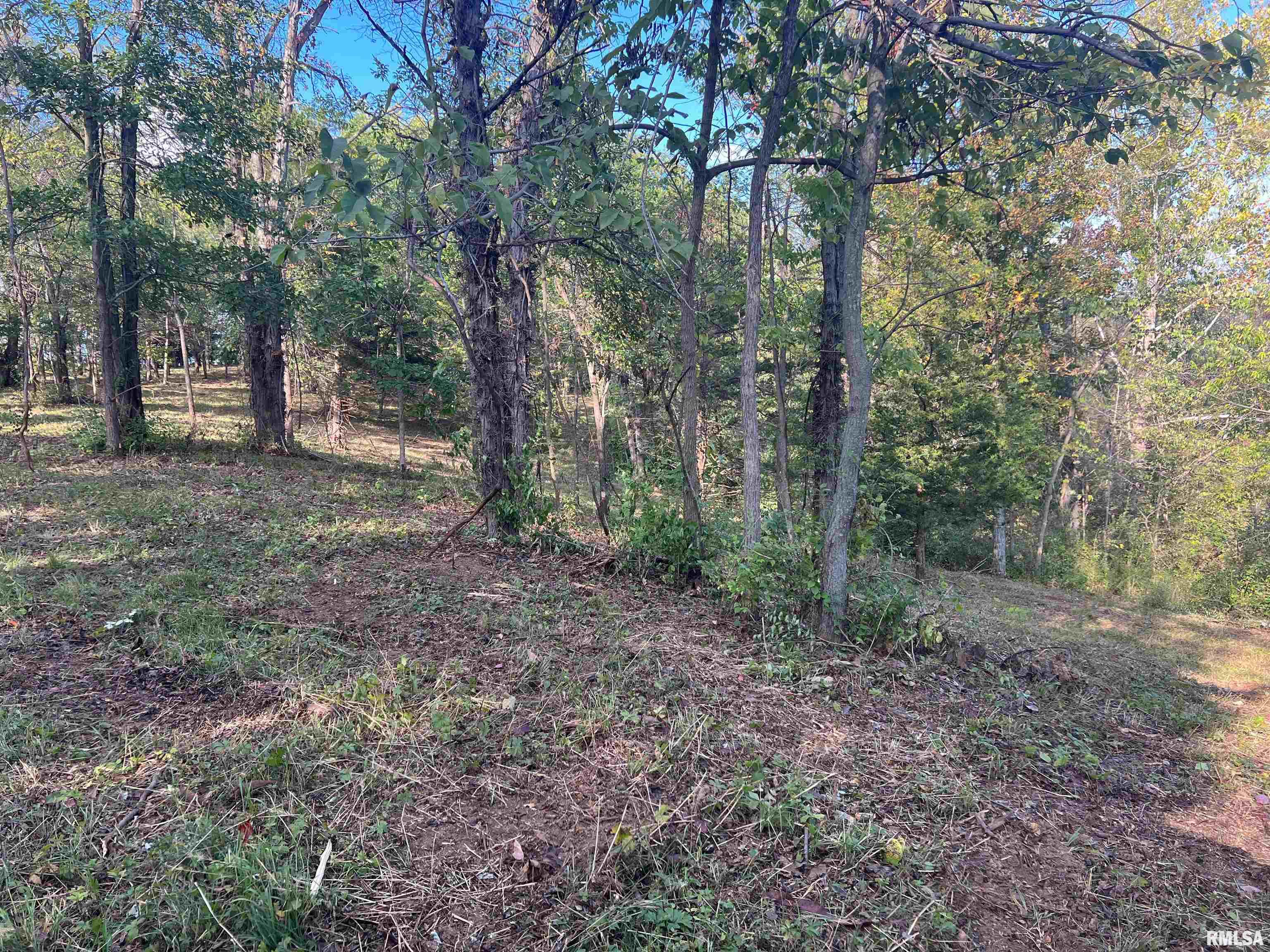 Rr125 Rr125 Street Versailles, IL 62378 - Photo 32 of 37