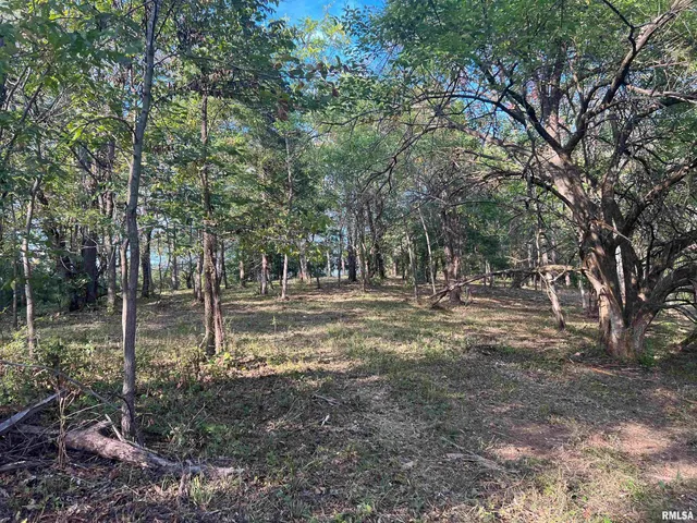 $225,000 | Rr125 Rr125 Street, Versailles, IL 62378