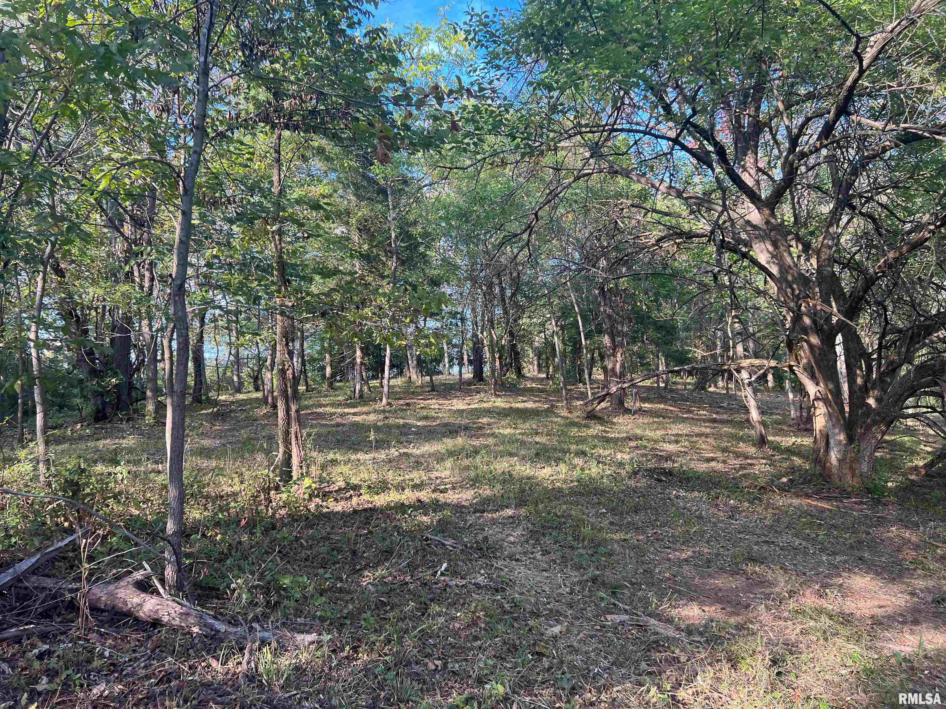 Rr125 Rr125 Street Versailles, IL 62378 - Photo 33 of 37