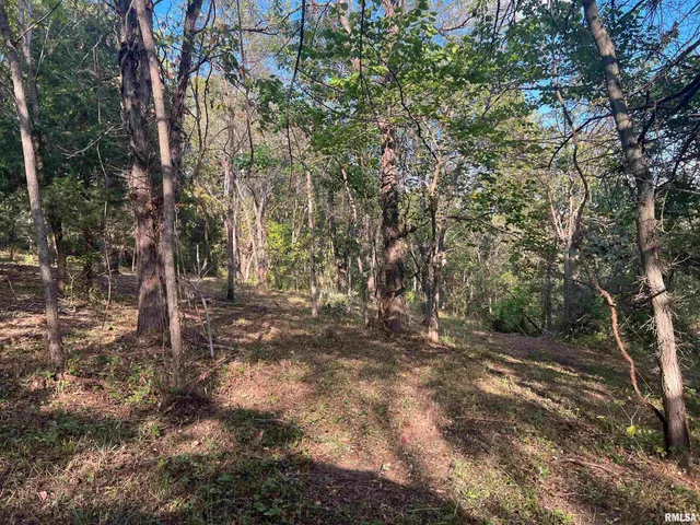 $225,000 | Rr125 Rr125 Street, Versailles, IL 62378