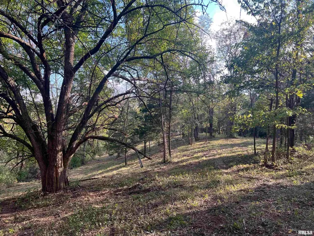 $225,000 | Rr125 Rr125 Street, Versailles, IL 62378