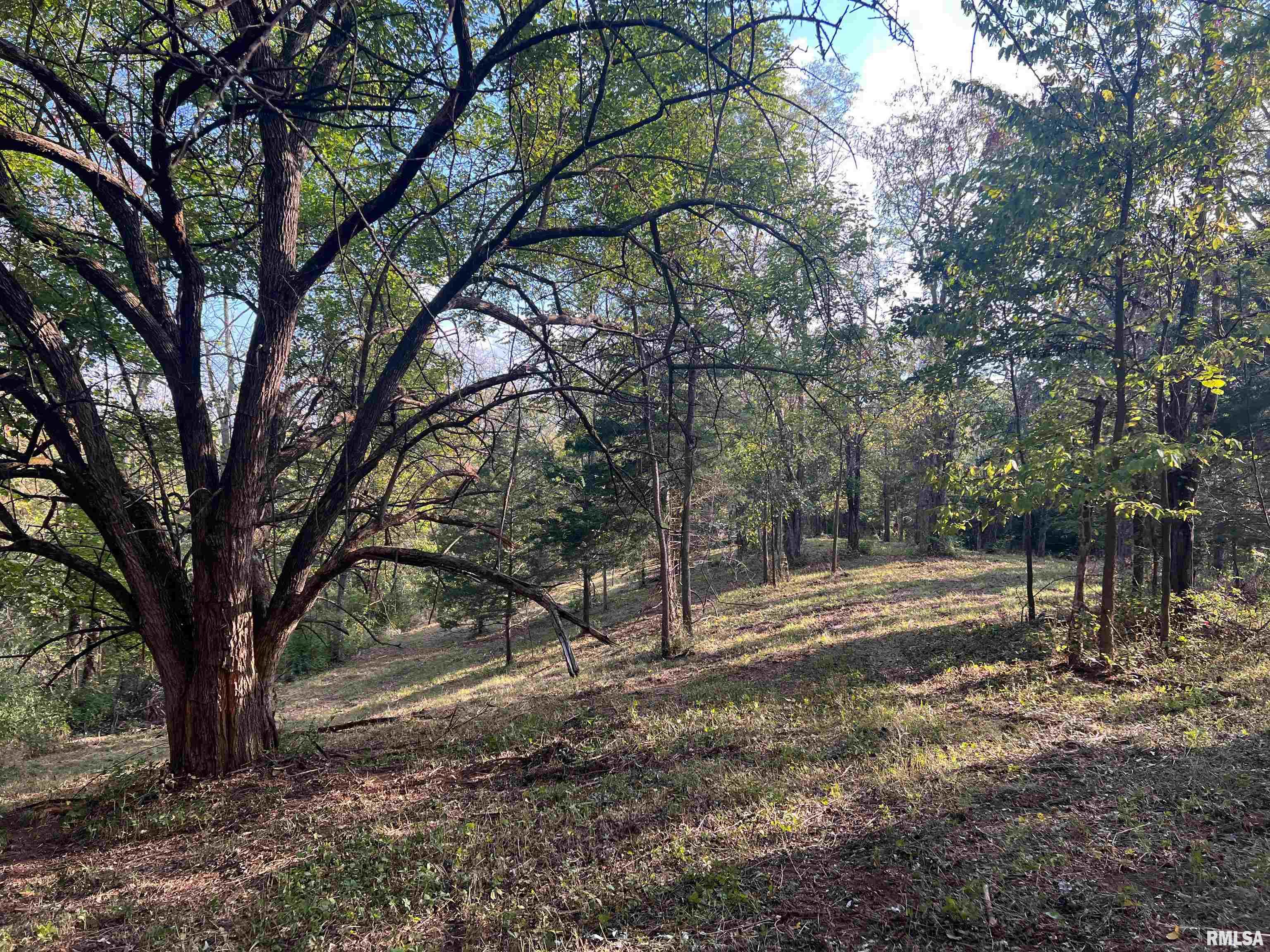 Rr125 Rr125 Street Versailles, IL 62378 - Photo 35 of 37