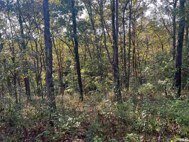 $225,000 | Rr125 Rr125 Street, Versailles, IL 62378