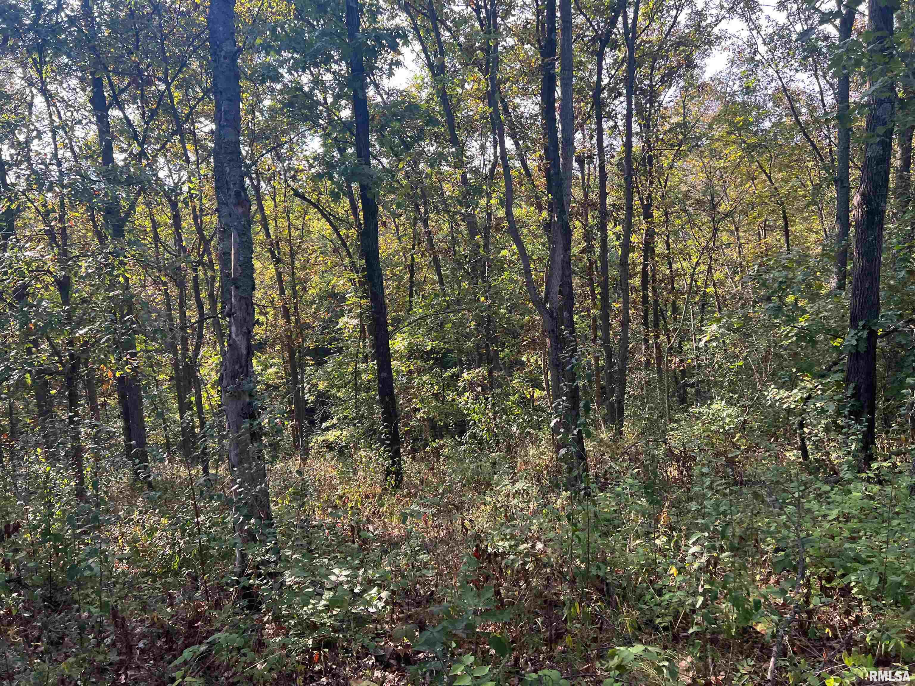 Rr125 Rr125 Street Versailles, IL 62378 - Photo 36 of 37