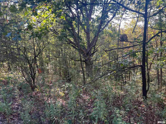 $225,000 | Rr125 Rr125 Street, Versailles, IL 62378