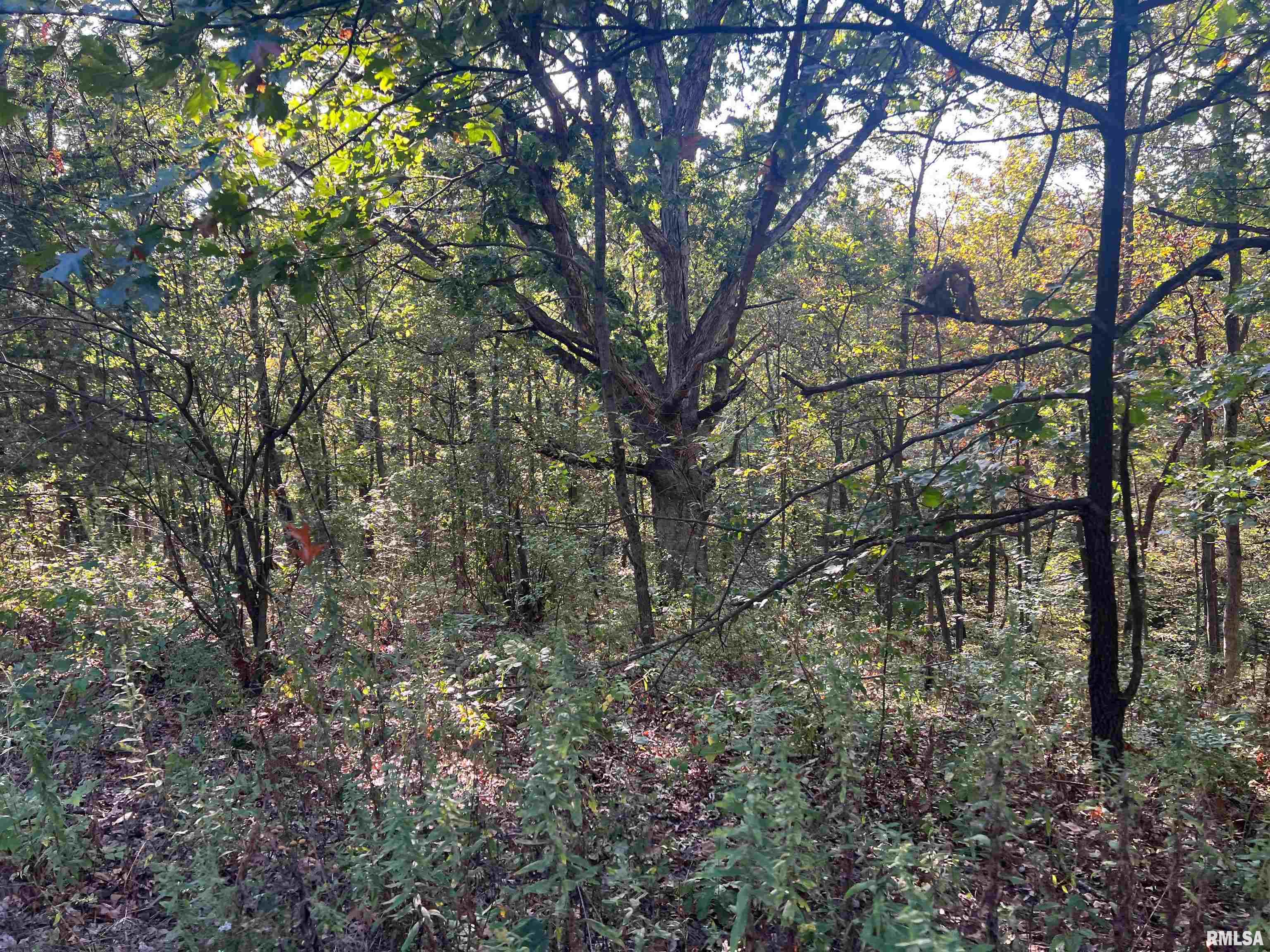 Rr125 Rr125 Street Versailles, IL 62378 - Photo 37 of 37