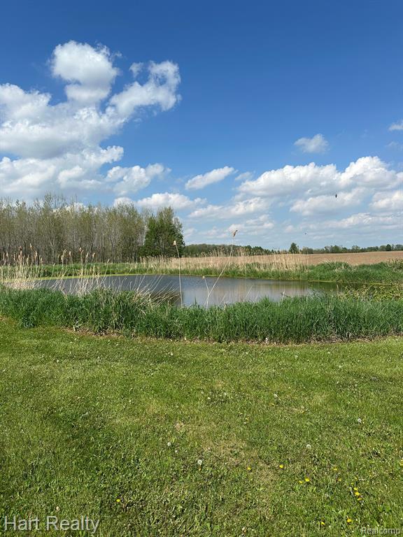 9548 Sharp Road Clifford, MI 48727 - Photo 23 of 43