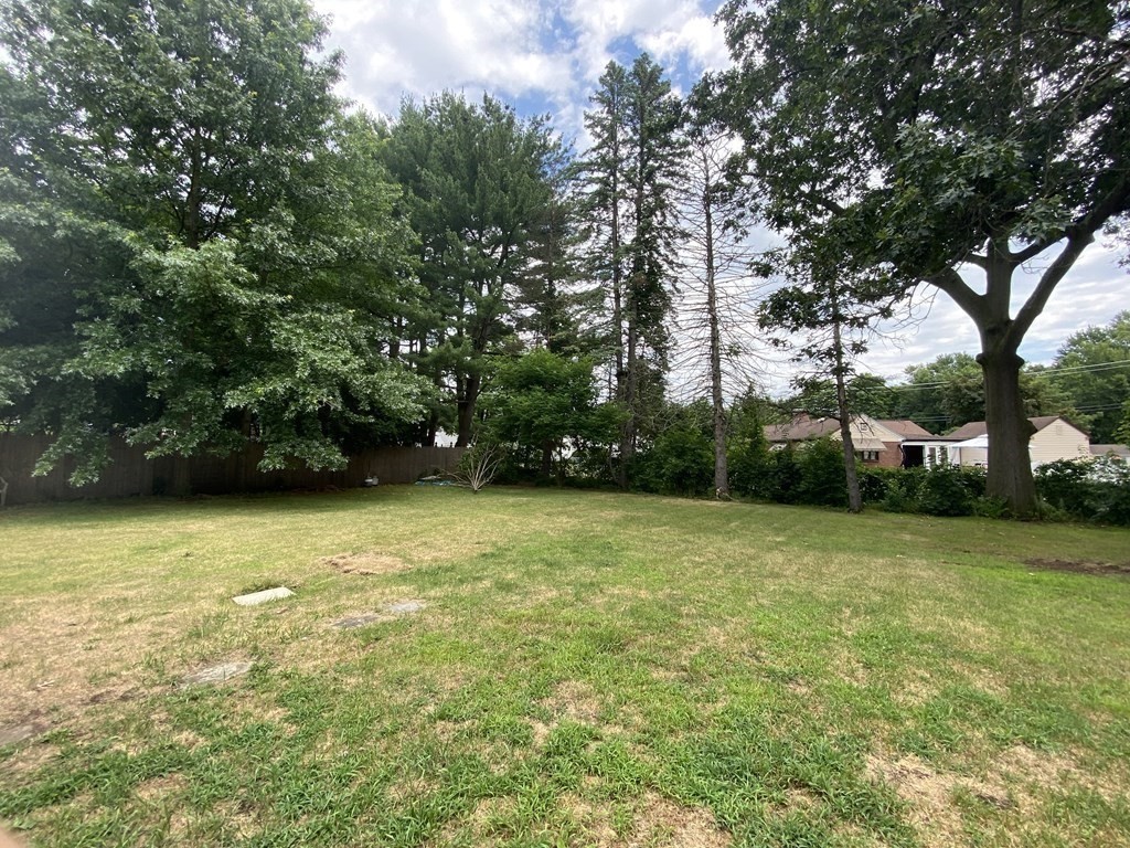 35 Wells Avenue Springfield, MA 01119 - Photo 11 of 12 Gallery Image 11