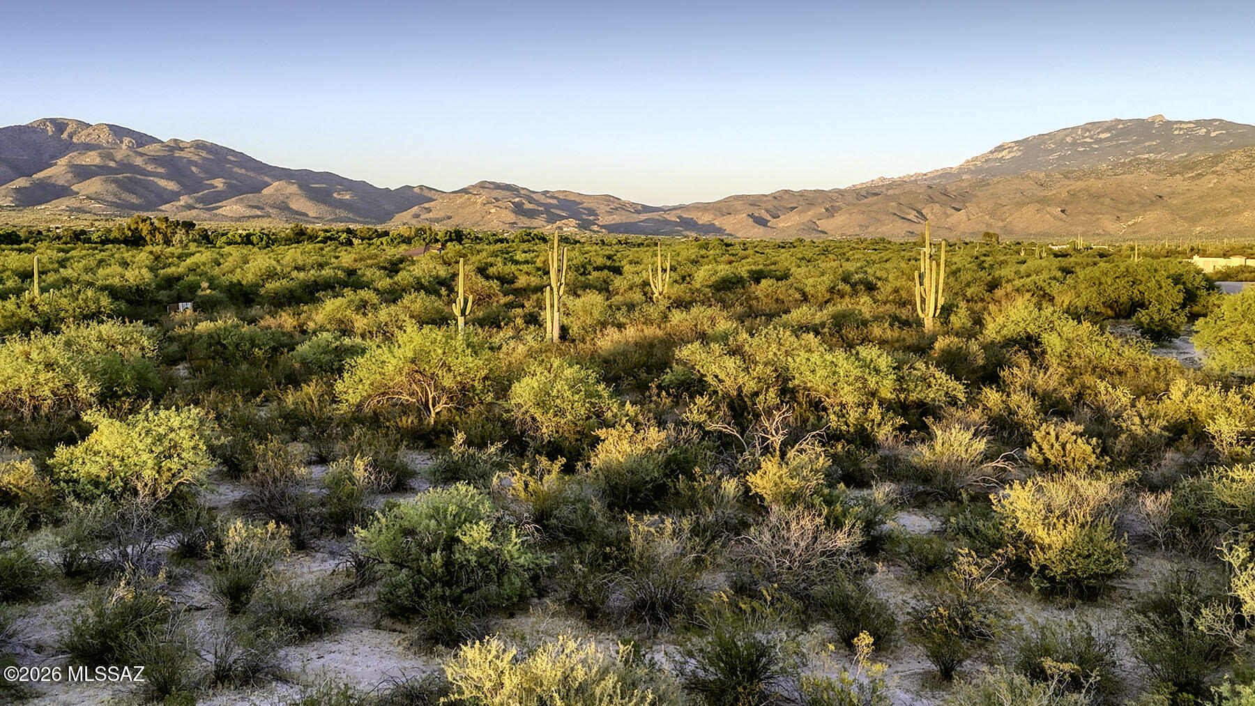 1242 North Freeman Road, Unit 5 ACRE Tucson, AZ 85749 - Photo 5 of 20 Vistas for Miles