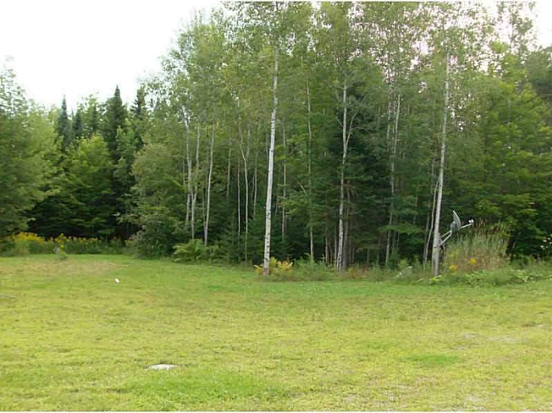 236 Old County Road Kenduskeag, ME 04450 - Photo 27 of 29 Back Yard.