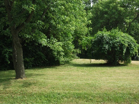 256 67th Street Paddock Lake, WI 53168 - Photo 1 of 1 Lot 256 67th ST