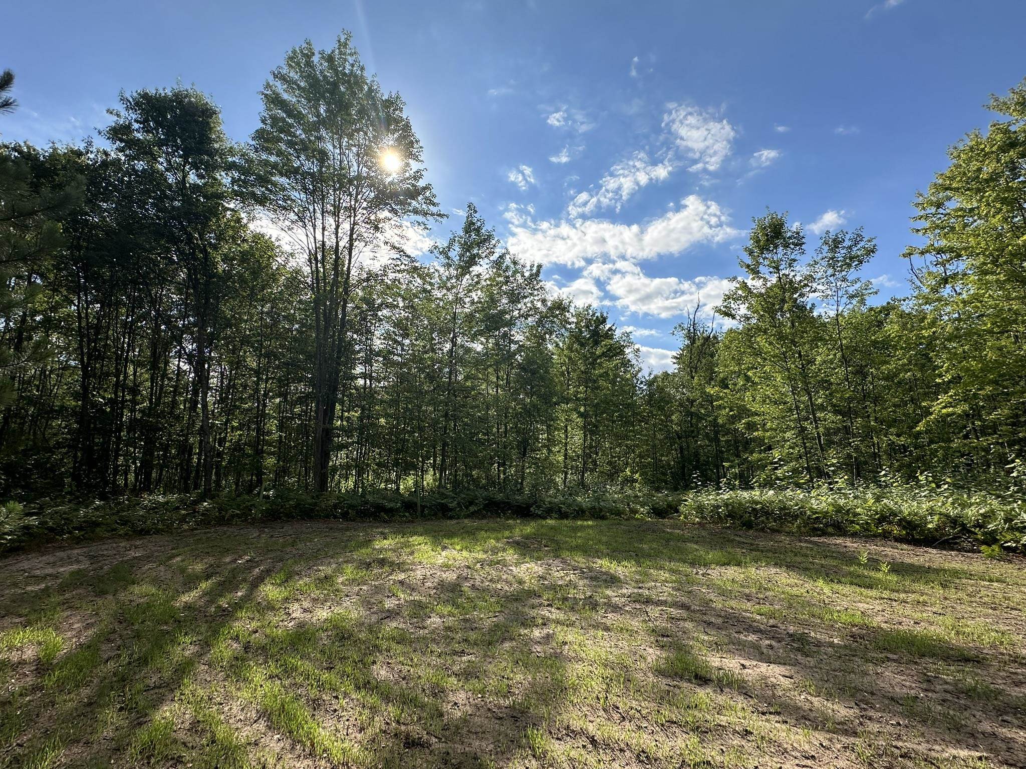 5304 South Brown Road Cadillac, MI 49601 - Photo 7 of 9