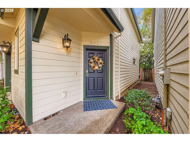 a view of front door and potted plants