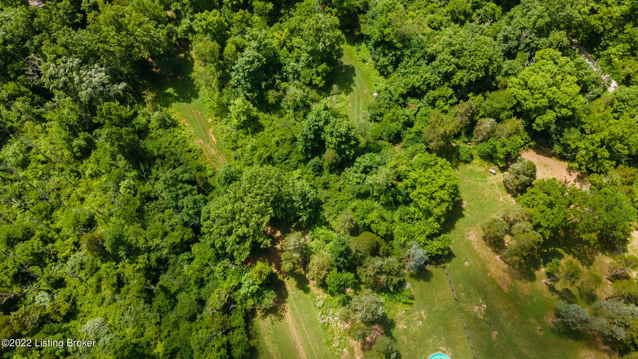 939 Wooded Hills Road Pendleton, KY 40055 - Photo 45 of 50 58
