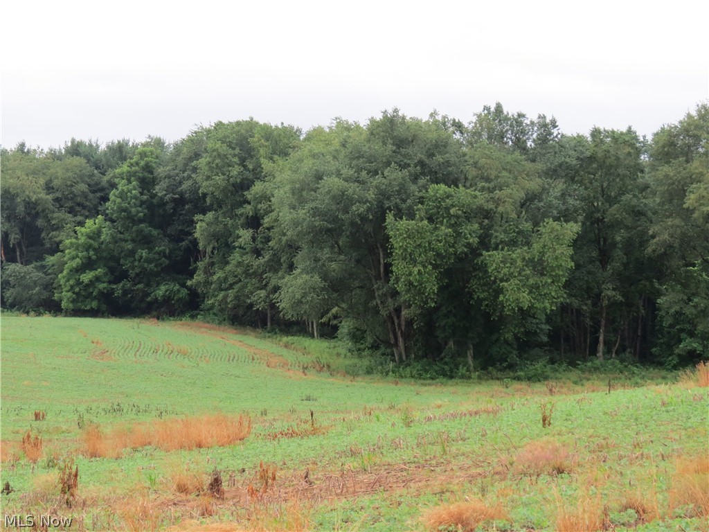 Marble Road Kensington, OH 44427 - Photo 10 of 14 Gallery Image 10