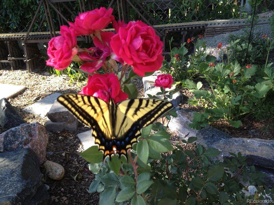 7928 Raleigh Place Westminster, CO 80030 - Photo 21 of 24 a view of a flower