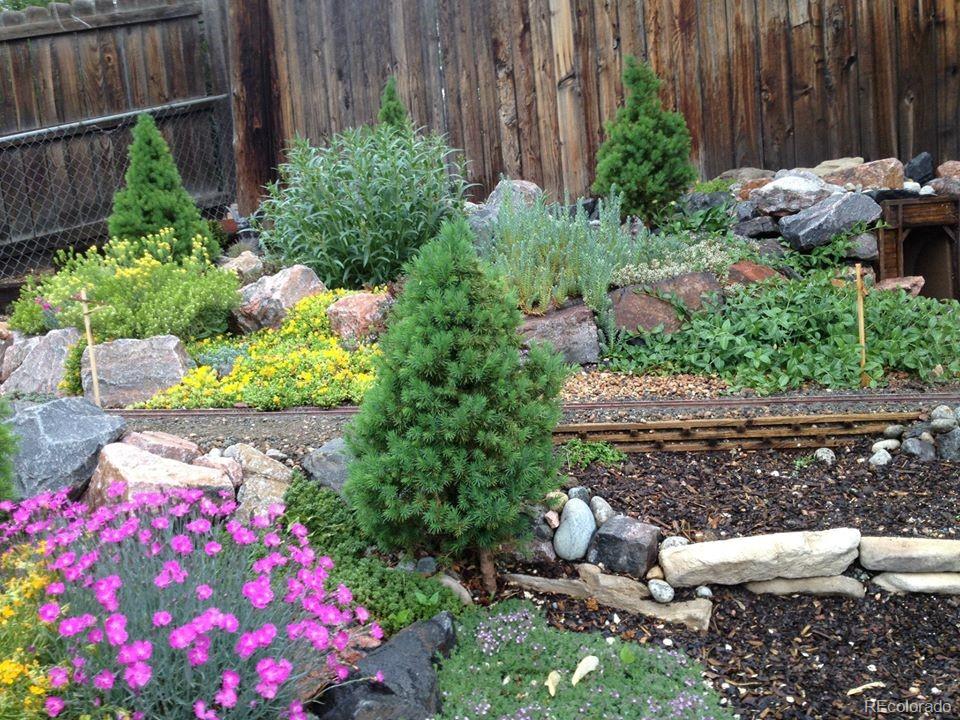 7928 Raleigh Place Westminster, CO 80030 - Photo 22 of 24 a bunch of flowers are in a garden