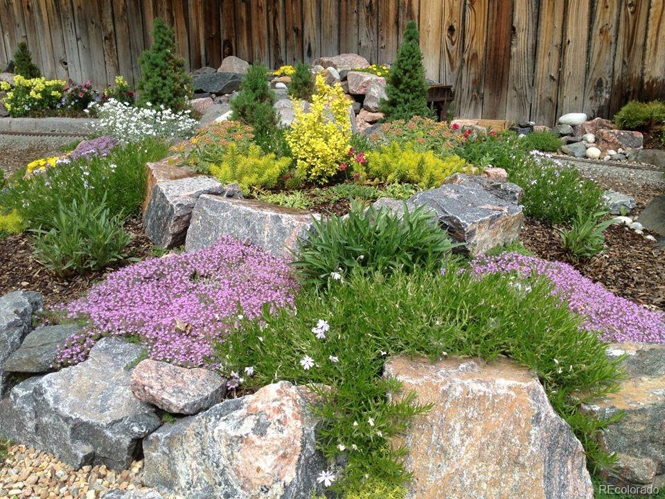 7928 Raleigh Place Westminster, CO 80030 - Photo 24 of 24 a bunch of flowers are in a garden