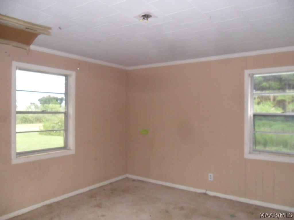 938 Lower Bozeman Road Brantley, AL 36009 - Photo 10 of 24 Gallery Image 10