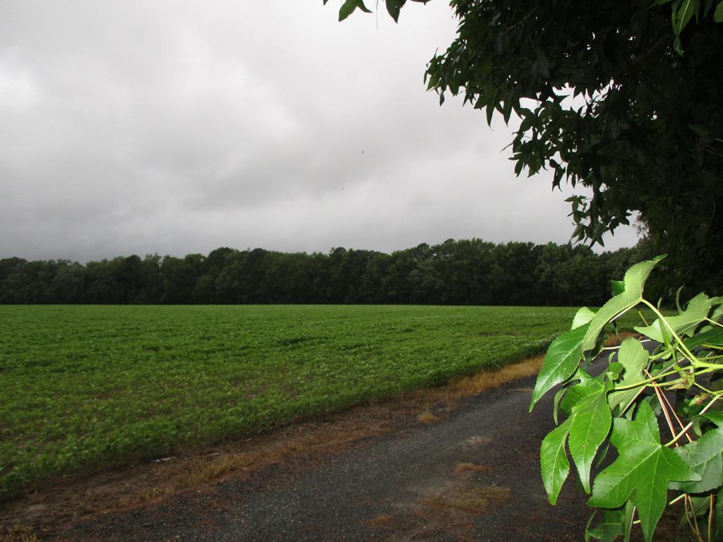 0 Fletcher Road, Unit 3 Bloxom, VA 23308 - Photo 1 of 2