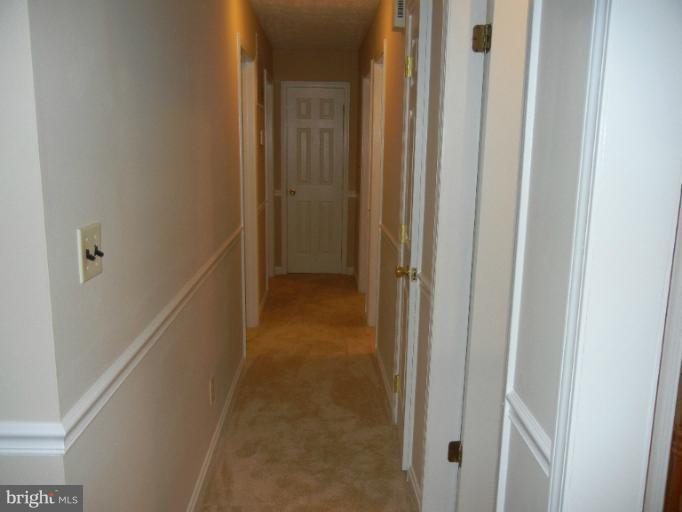 145 Mardsen Heights Road Linden, VA 22642 - Photo 18 of 22 Interior (General)