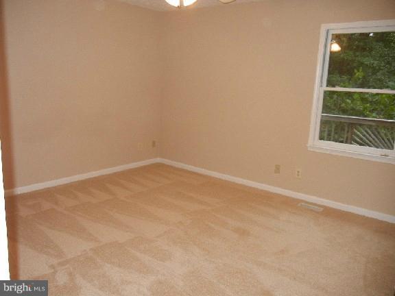 145 Mardsen Heights Road Linden, VA 22642 - Photo 3 of 22 Bedroom (Master)