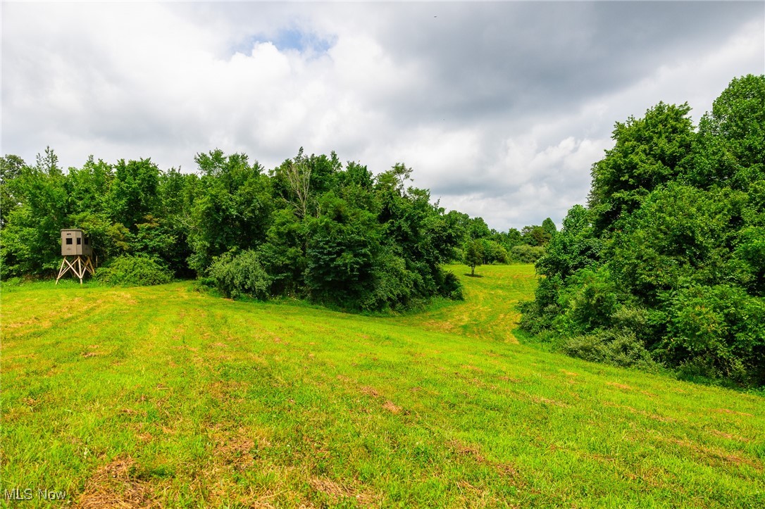 Harrons Ridge Road Dexter City, OH 45727 - Photo 7 of 50 View of yard