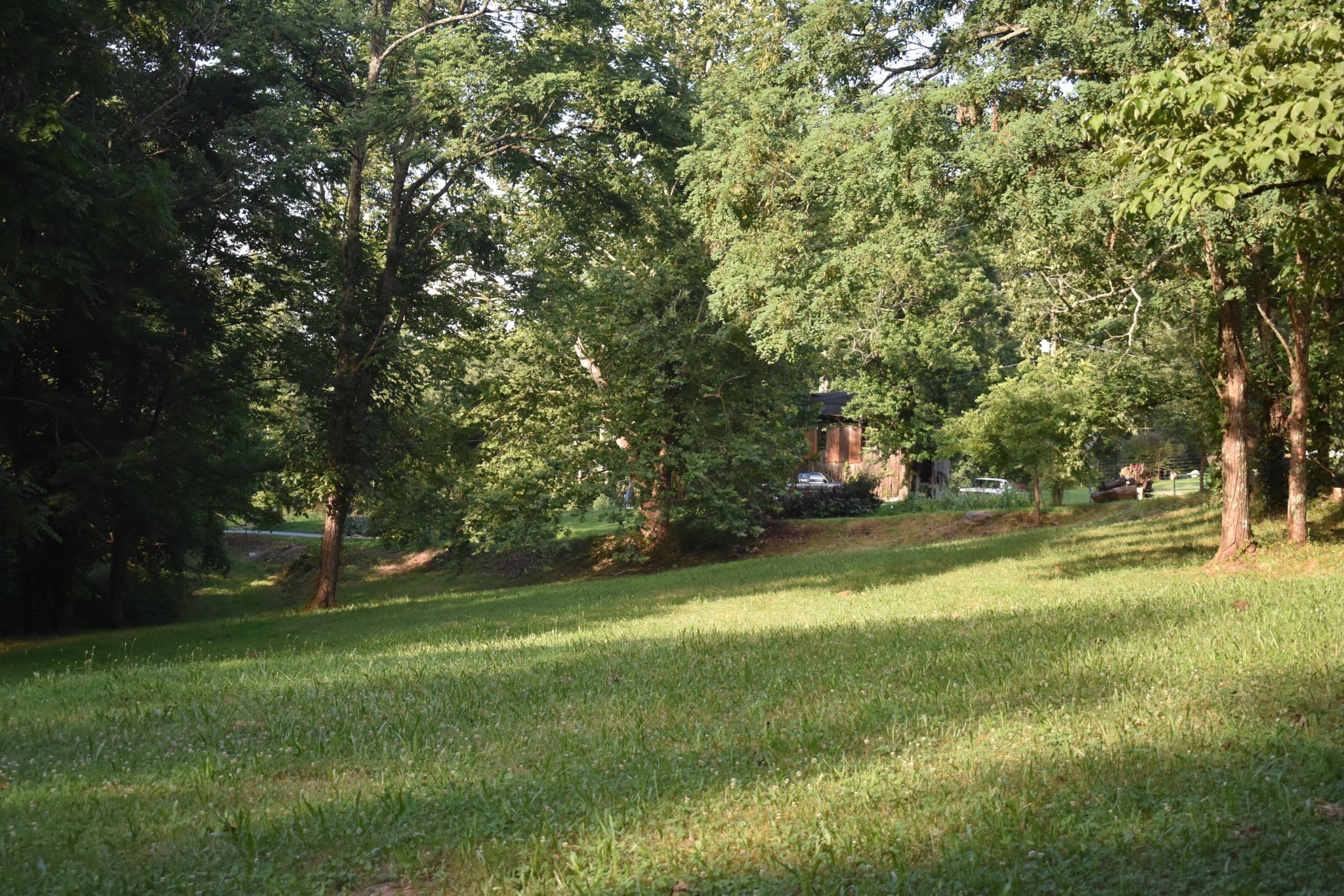 953 Goose Creek Road Seymour, TN 37865 - Photo 13 of 22 Gallery Image 13