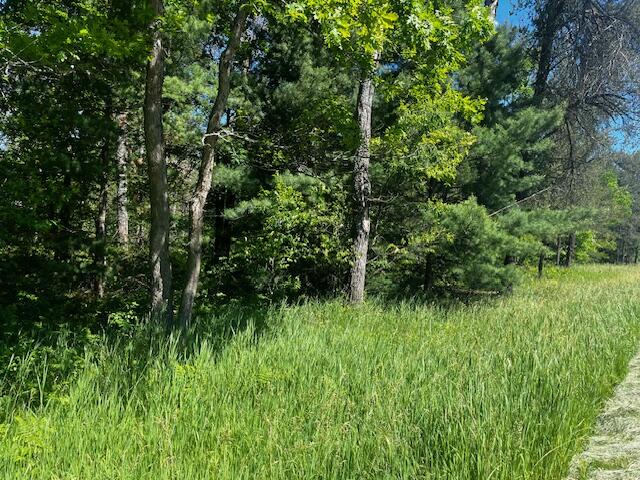 1 M-37 Baldwin, MI 49304 - Photo 14 of 15