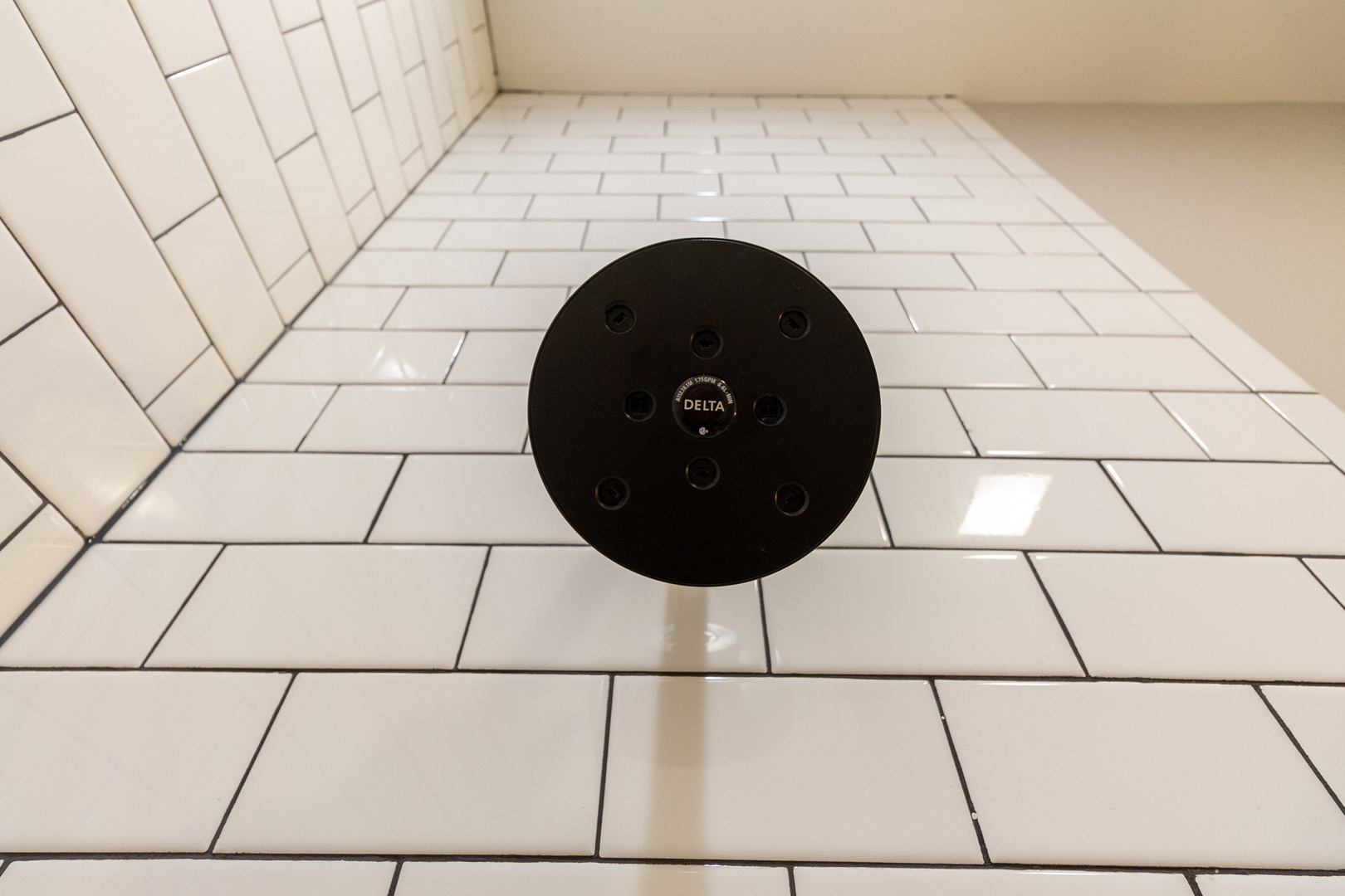 3755 West Addison Street, Unit 2E Chicago, IL 60618 - Photo 11 of 20 a close view of a shower in a bathroom