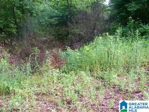 519 County Road, Unit 98 Woodland, AL 36280 - Photo 5 of 7