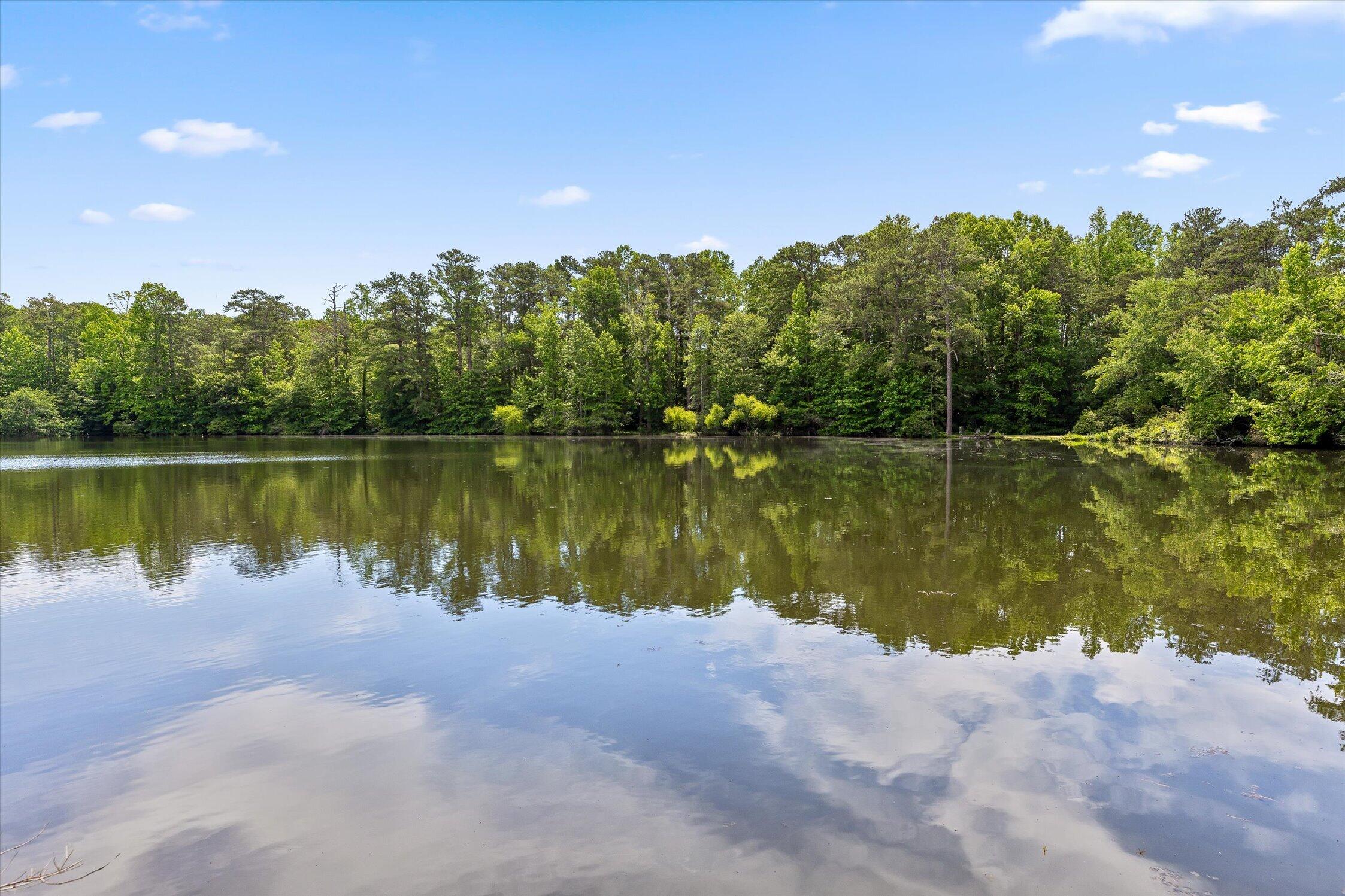390 Moon Lake Road Mentone, AL 35984 - Photo 48 of 60 64-Moon Lake-64