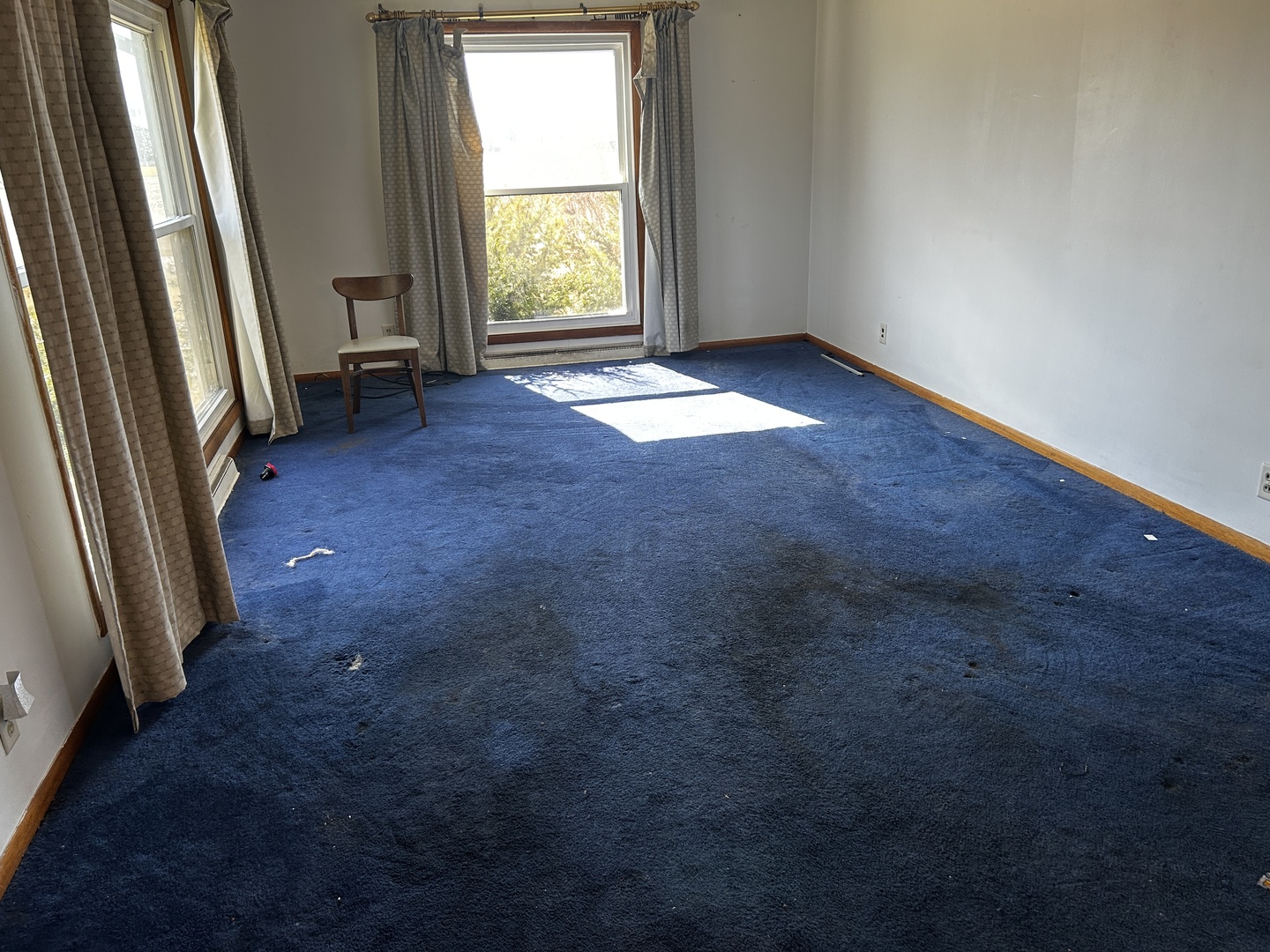 401 Oak Drive Roberts, IL 60962 - Photo 6 of 15