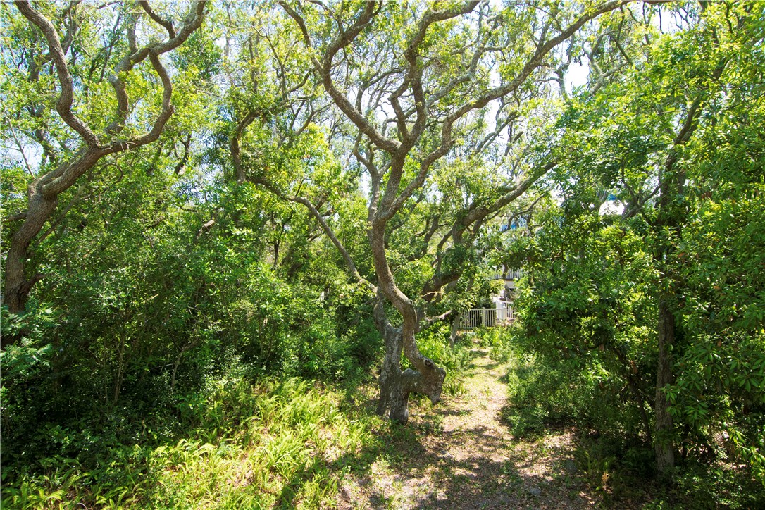 2905 Bill Melton Road Fernandina Beach, FL 32034 - Photo 5 of 35 Gallery Image 5