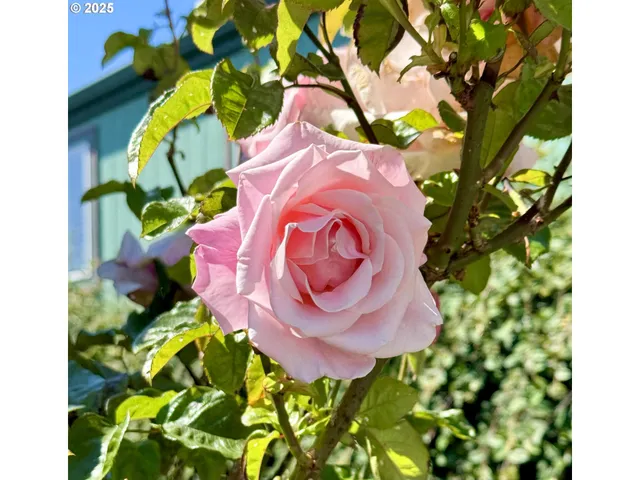 $97,000 | 98042 West Benham Lane, Unit 2, Brookings, OR 97415