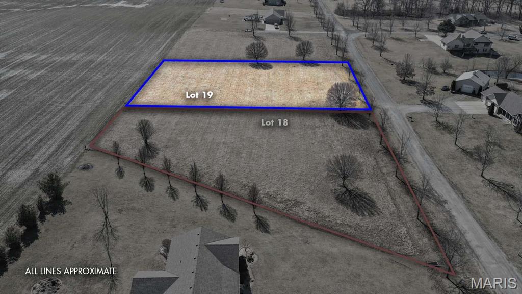 0 Springman Lane Brighton, IL 62012 - Photo 7 of 12