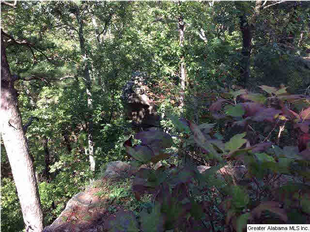 298 Shades Crest Road Birmingham, AL 35226 - Photo 27 of 29